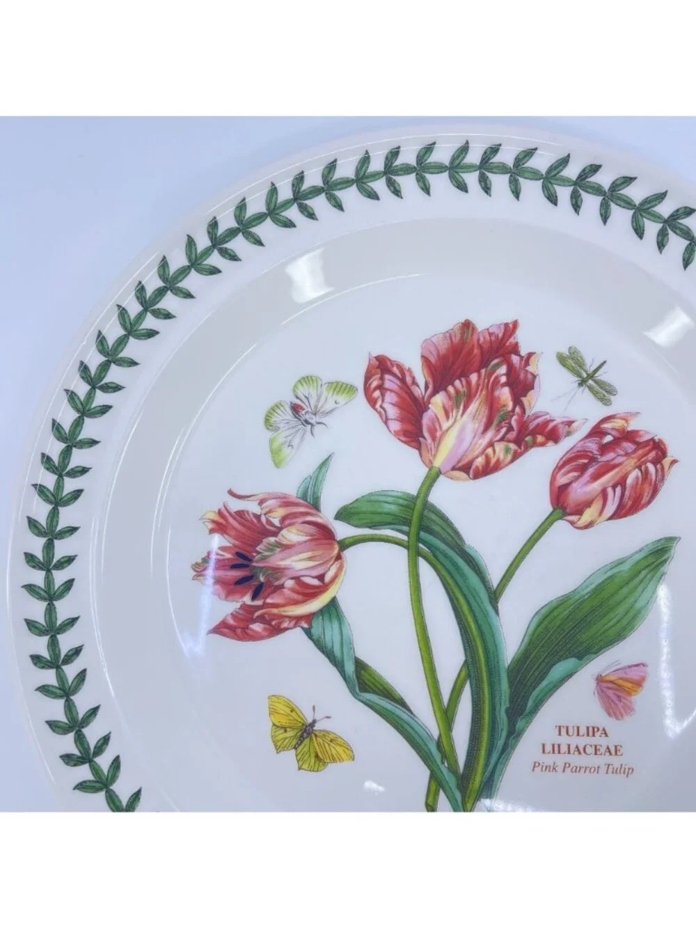 vintage portmeirion botanic garden tulipa liliaceae pink parrot tulip plate